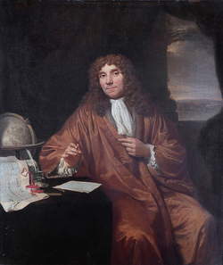 Antoni van Leeuwenhoek